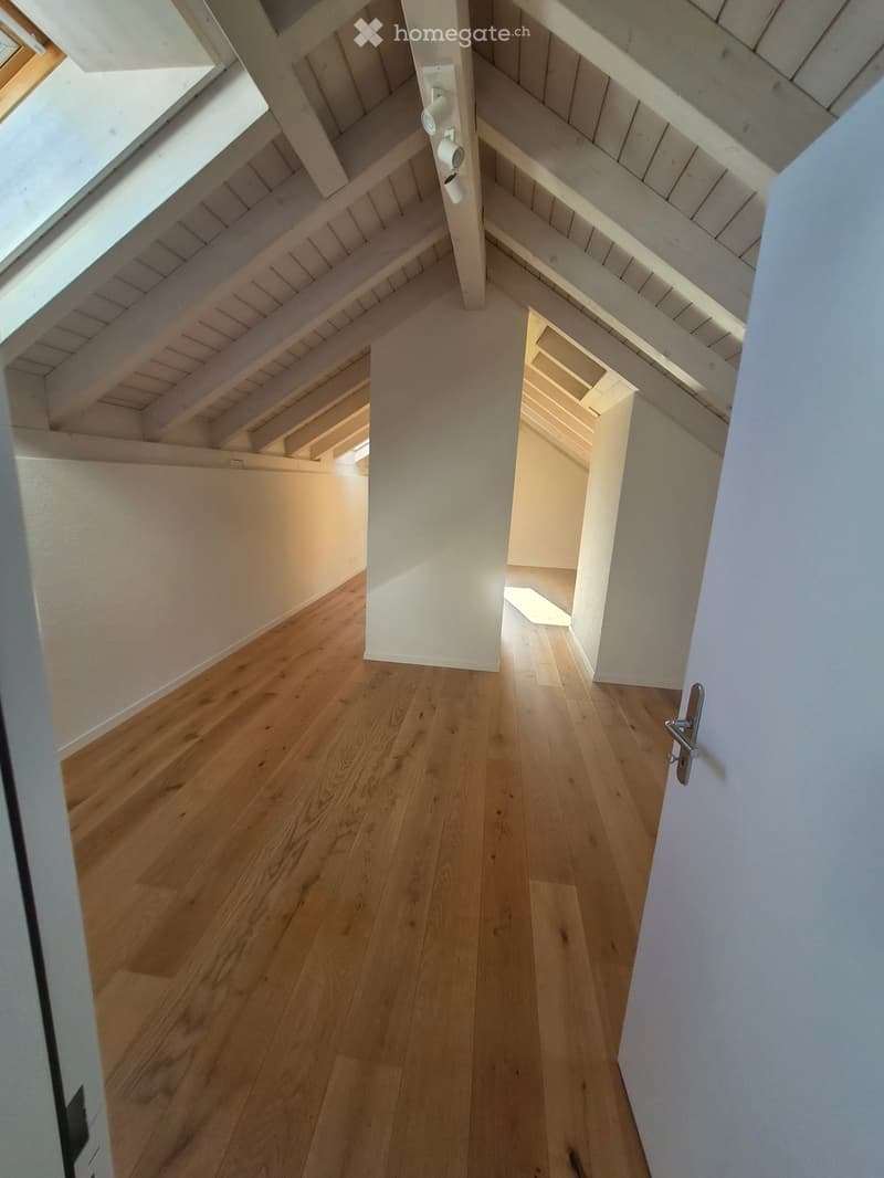 Exklusive Attika-Maisonettewohnung mit traumhaftem Seeblick (6)