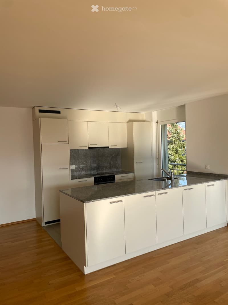White kitchen with wooden floor, granite countertops, open space, glass door to balcony, full view to trees