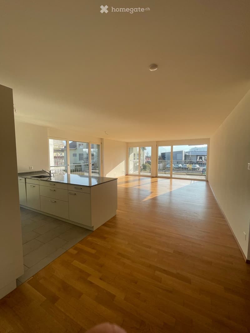 modern kitchen, wooden floor, white walls, balcony, large windows, kitchen island with sink and faucet, kitchen cabinets
