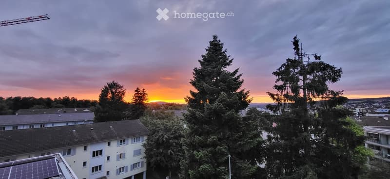 multiple residential buildings, tall trees, solar panels on rooftop, sunset in the background