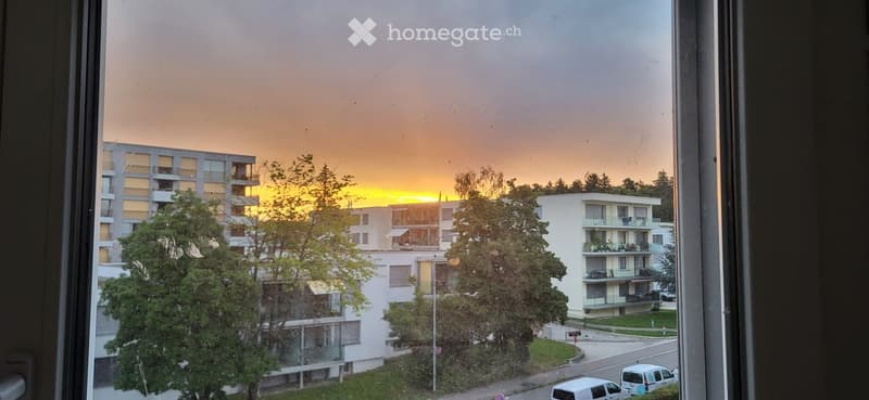 A view from a window of two residential buildings, with trees and cars parked nearby