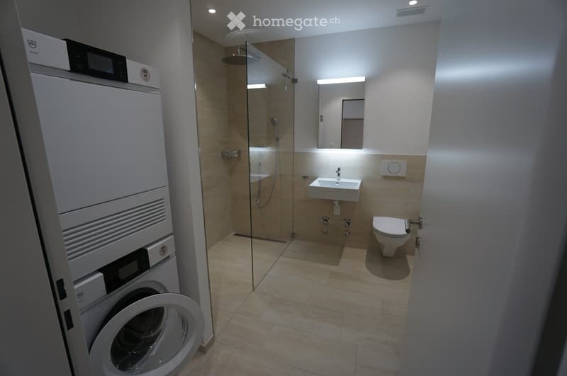 Modern bathroom with a glass-enclosed shower, a white sink, a toilet, a mirror, and a washing machine in the corner.