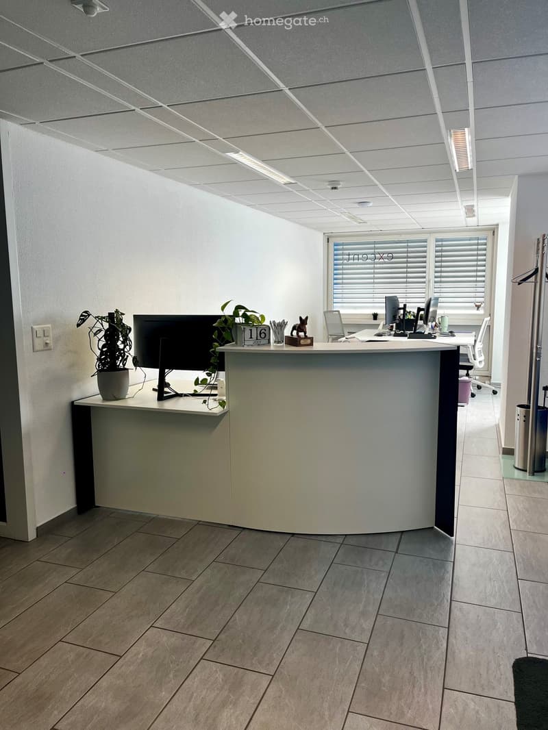 Modern office reception area with a curved desk, two computer screens, a potted plant, and a small decorative statue. The space features tiled flooring and white walls, with a window offering natural light.