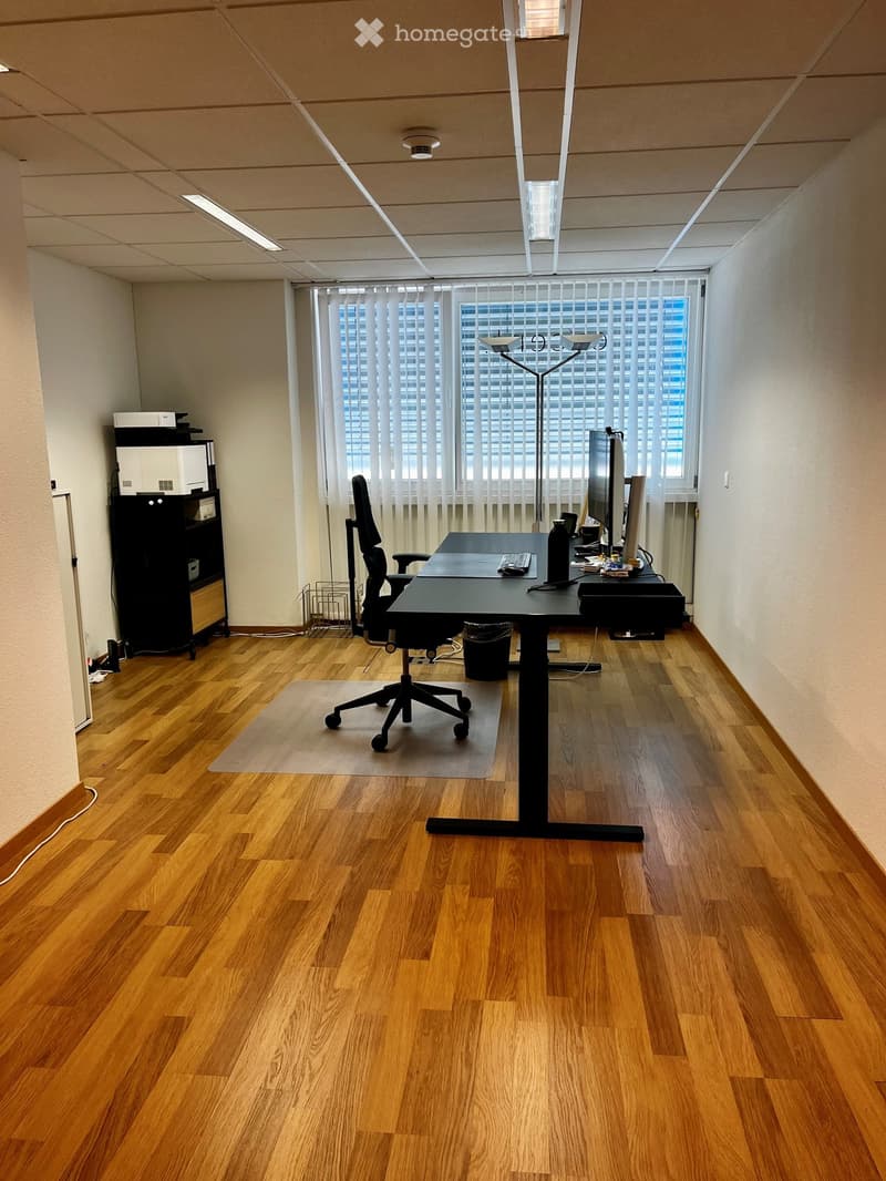 Office space with wooden flooring, a black desk, ergonomic chair, computer setup, and a cabinet with a printer.