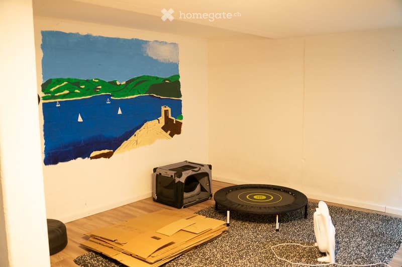 Room with wooden floor, large painted mural, cat carrier, mini trampoline, fan, and cardboard sheets on floor.