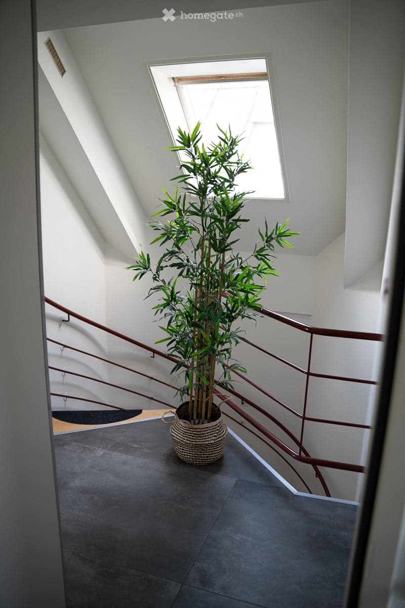 A modern hallway with a curved staircase, dark grey tiled floor, white walls, and a large potted plant near the window.