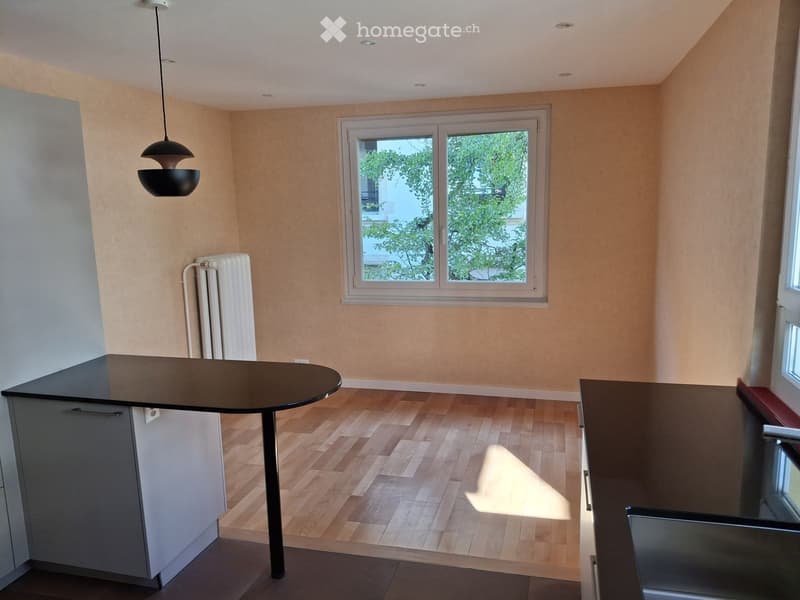 Empty room with light-colored walls, wooden flooring, a window with a view of greenery, a radiator, and a modern pendant light fixture.