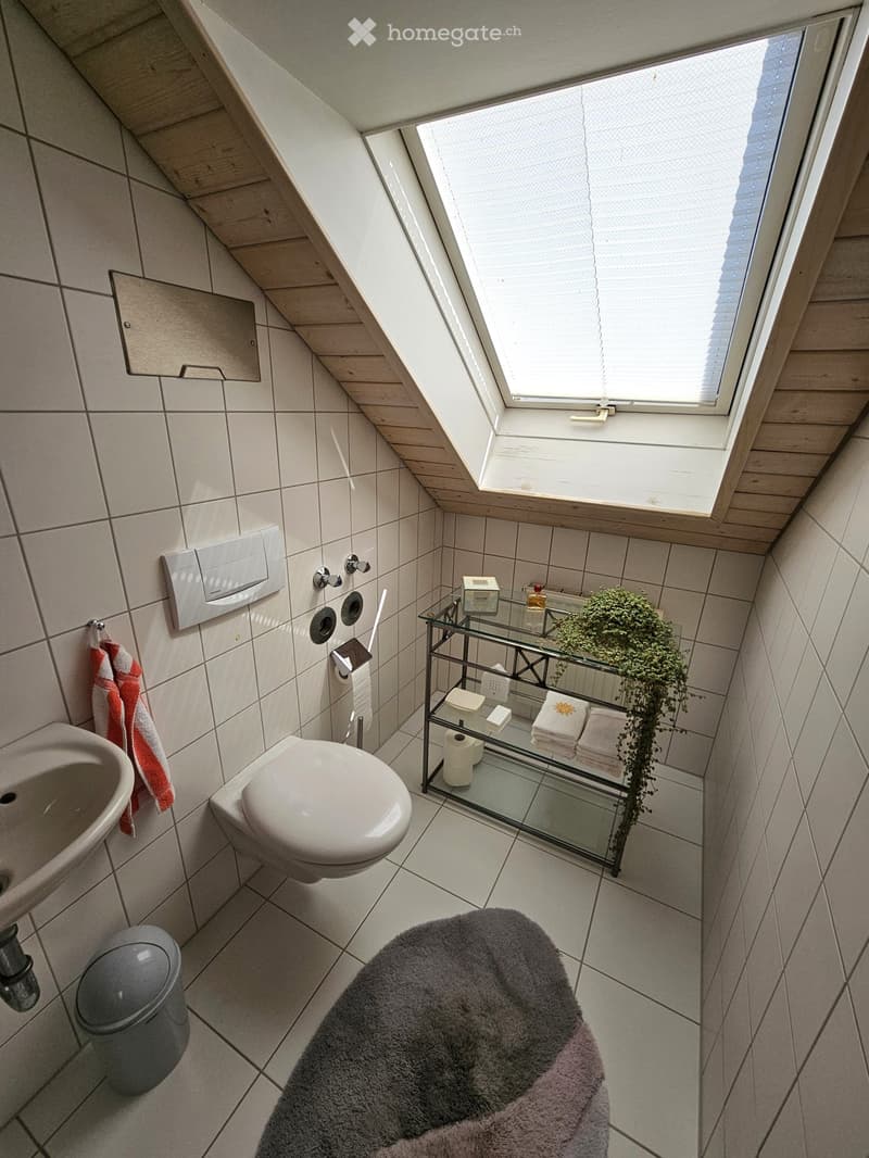 Modern bathroom with white tiles, a toilet, sink, mirror, towel, storage shelf, plant, and a soft rug.