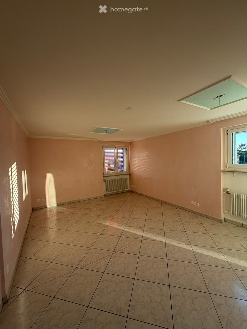 4-Zimmer-Wohnung mit wunderschöner Aussicht in Dottikon (2)