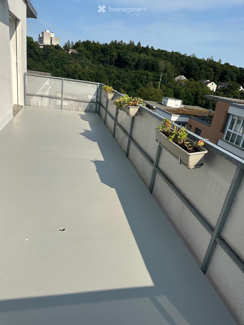 Roof terrace with a smooth concrete surface, metal safety railing, and several potted plants along the edge. The background shows a green, hilly landscape under a clear blue sky.