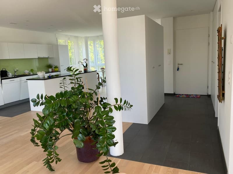 Open-plan kitchen and living area with white cabinets, black countertops, a kitchen island, and a large potted plant in the foreground.