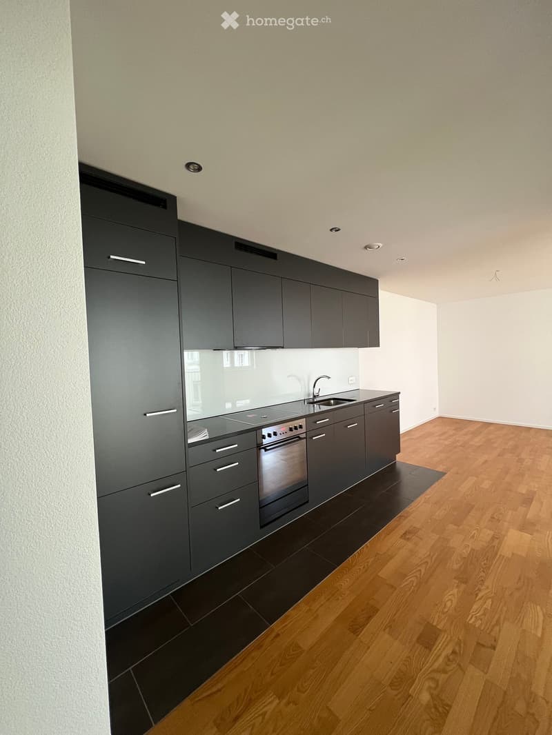 Modern kitchen with dark grey cabinets, a stainless steel oven, and a sink, featuring wooden flooring and a sleek design.