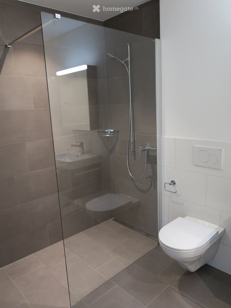 Modern bathroom with a glass-enclosed shower, toilet, sink, and built-in lighting.