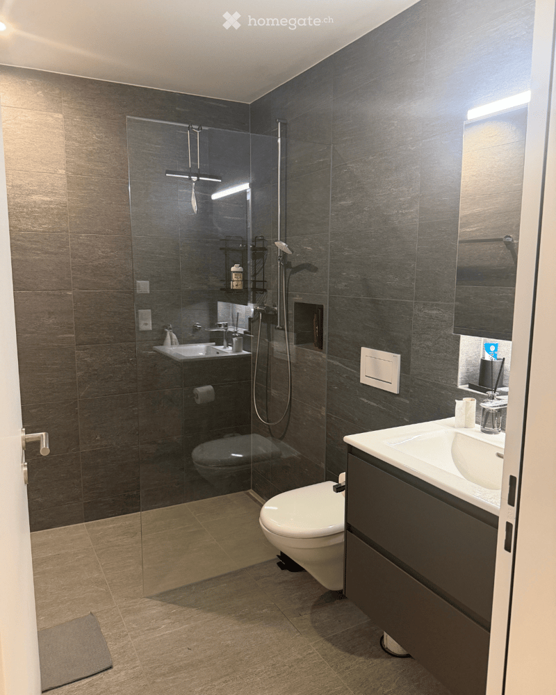 Modern bathroom with dark tiled walls, a glass-enclosed shower, a toilet, a sink with a mirror, and a towel on the floor.
