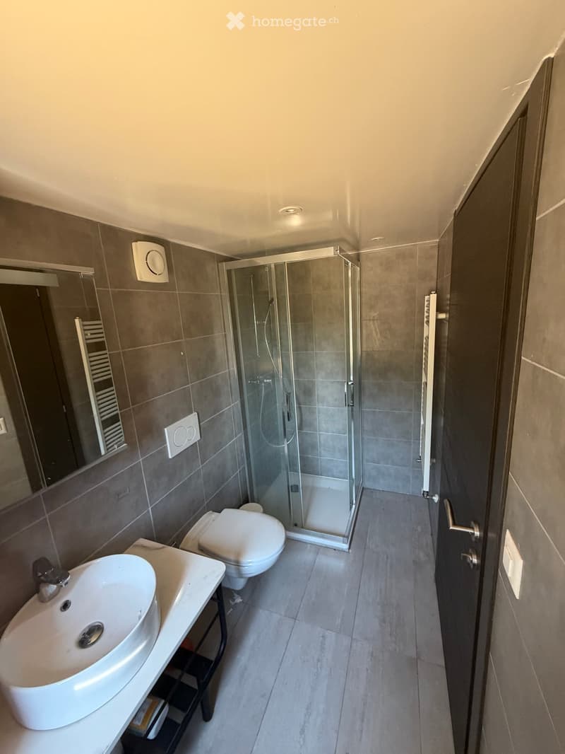 Modern bathroom with a white sink, toilet, glass-enclosed shower, and a large mirror. The walls are tiled in gray, and the floor is tiled in light gray.