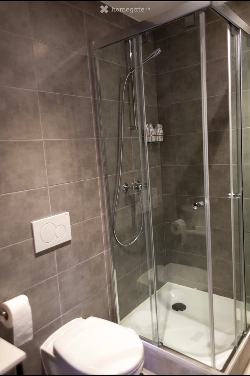 Modern bathroom with a glass-enclosed shower, toilet, and tiled walls.