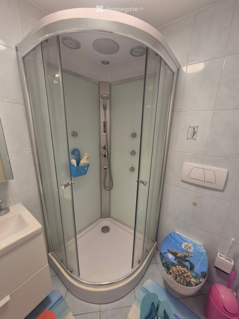 Modern bathroom with a glass-enclosed shower, toilet with a decorative seat cover, sink, and a shower shelf holding toiletries.