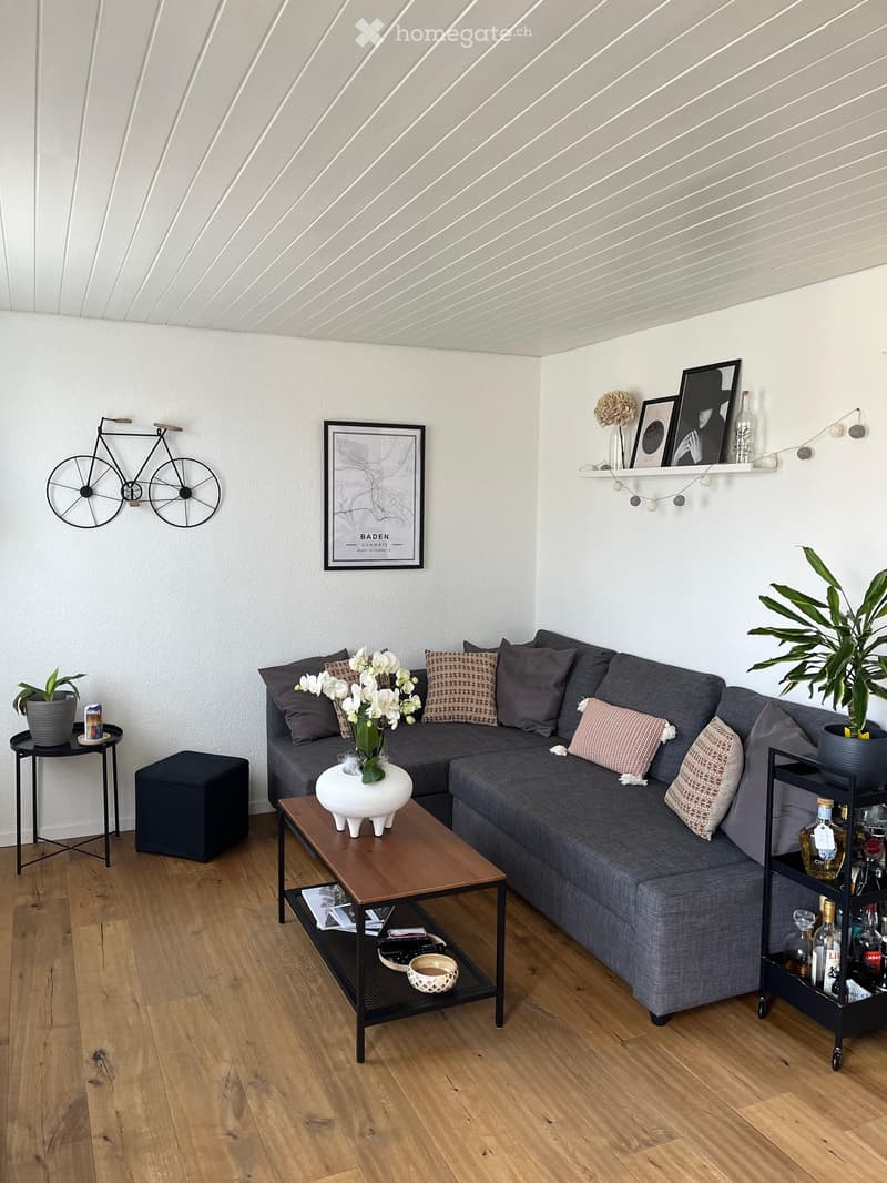 Sehr schönes Reihenhaus zentral in Olten (8)