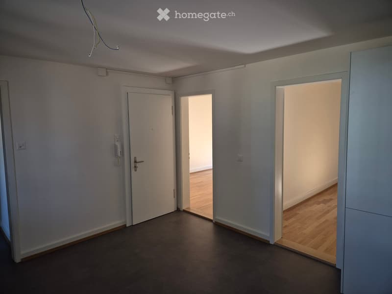 Empty hallway with light-colored walls, wooden flooring in adjacent rooms, and several doors leading to other spaces.