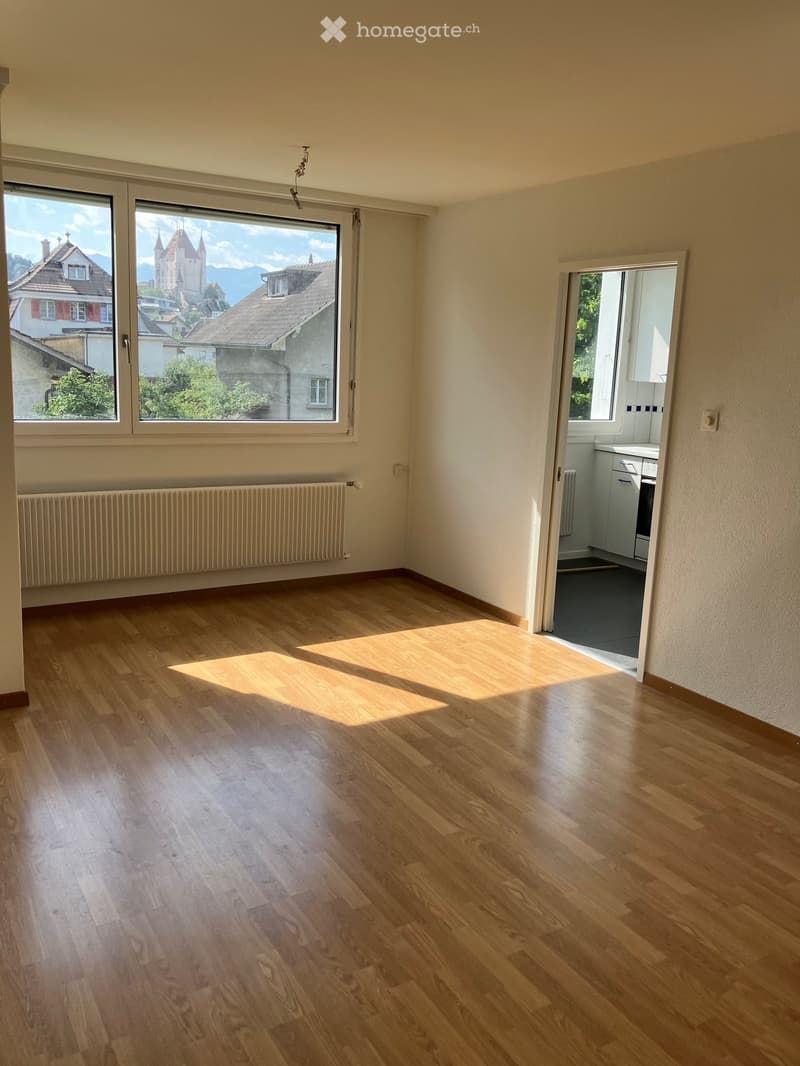 Empty room with wooden flooring, large windows showing a scenic view, radiator, and an open doorway leading to a kitchen area.