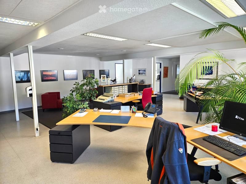 Office space with desks, chairs, computers, telephones, filing cabinets, and plants. The room features a modern design with large windows and a clean, organized layout.