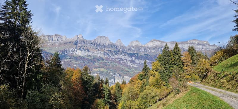 A scenic mountain landscape with a forested valley and a winding gravel path leading through the trees.