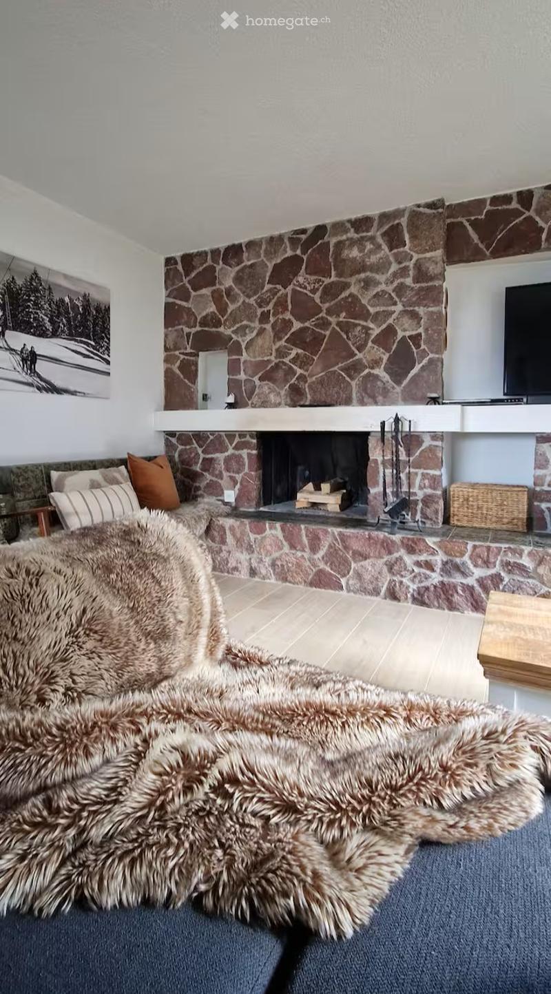 Living room with a stone fireplace, a large fur throw on a sofa, and a picture frame on the wall.