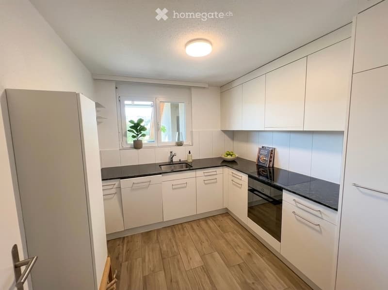 Modern kitchen with white cabinets, black countertops, wooden flooring, and a window with a plant on the sill.