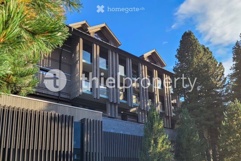 Modern multi-story building with wooden facade, large windows, and balconies surrounded by tall evergreen trees.