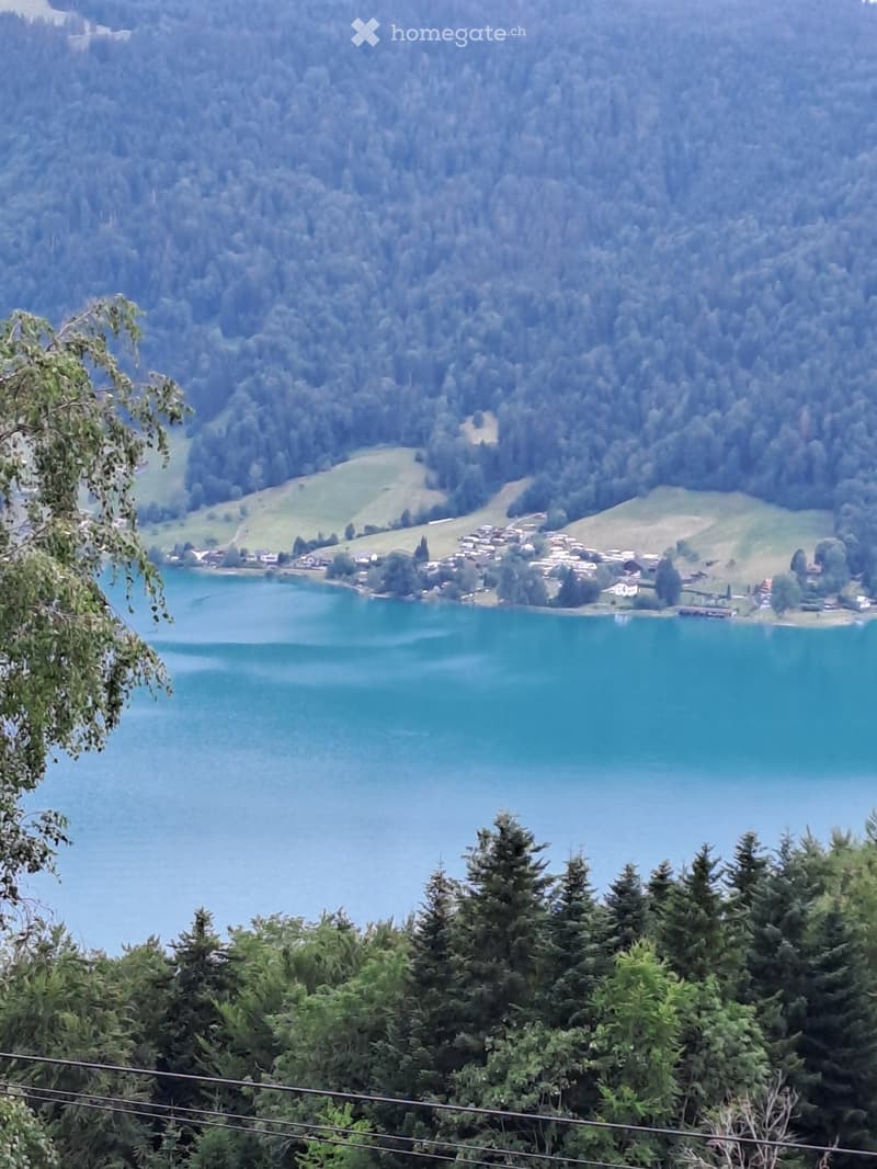 A scenic view of a lake surrounded by dense forest and small village settlements on the shore.