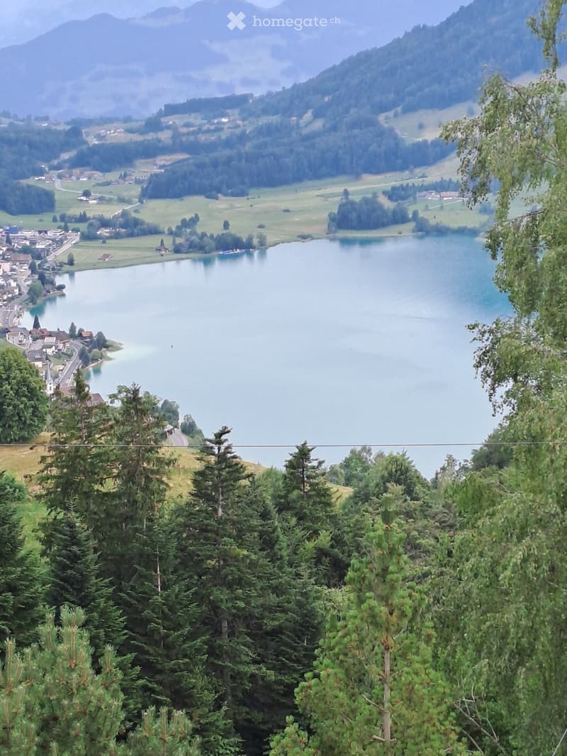 A scenic view of a lake surrounded by lush green trees and distant mountains, with a small village visible on the left side.