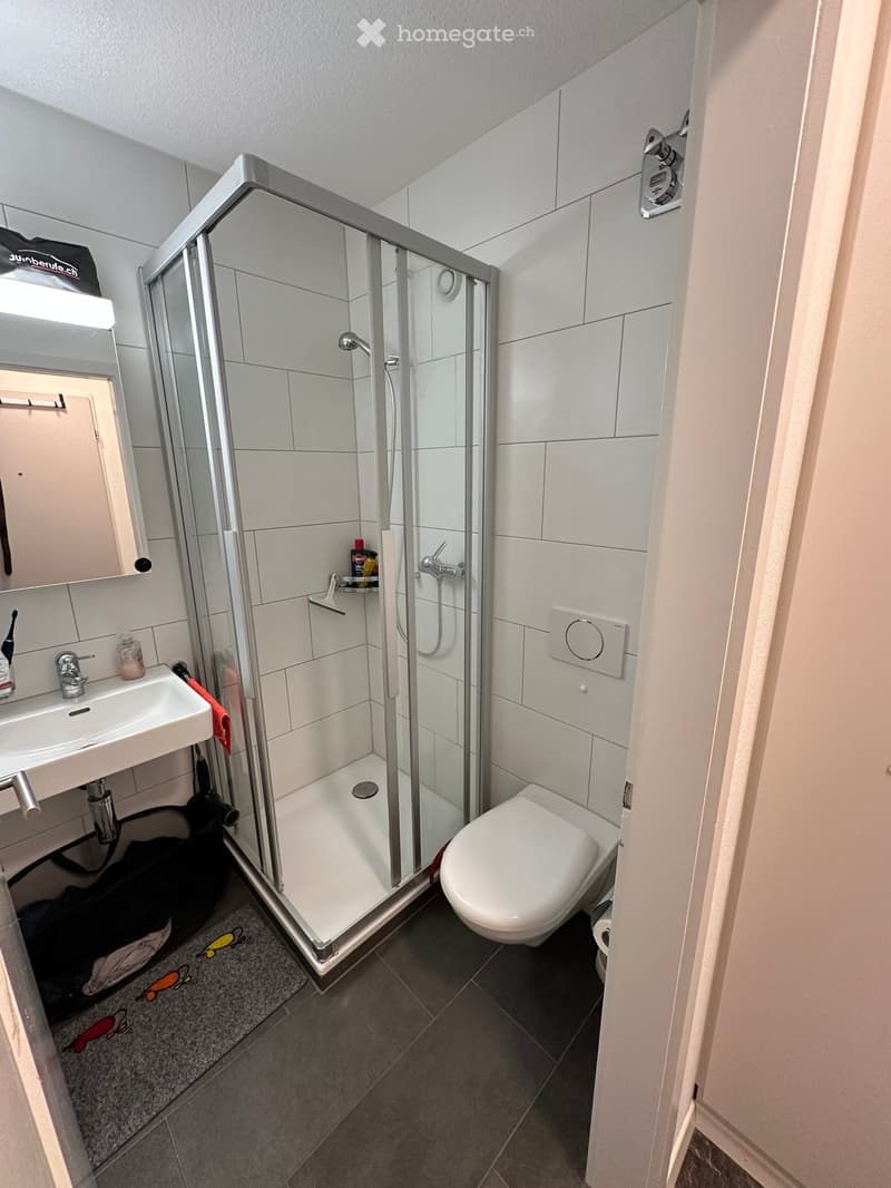 Modern bathroom with white tiles, a glass-enclosed shower, a toilet, a sink with a mirror, and a small shelf inside the shower. The floor is dark grey tiles, and there is a small decorative rug in front of the shower.