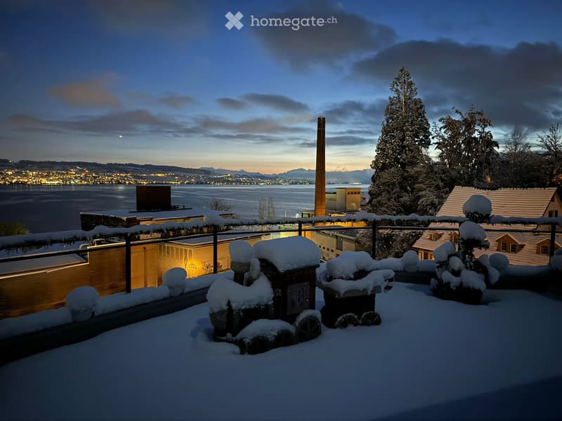 Snow-covered balcony with railing, potted plants, and a view of a cityscape and water body at dusk.