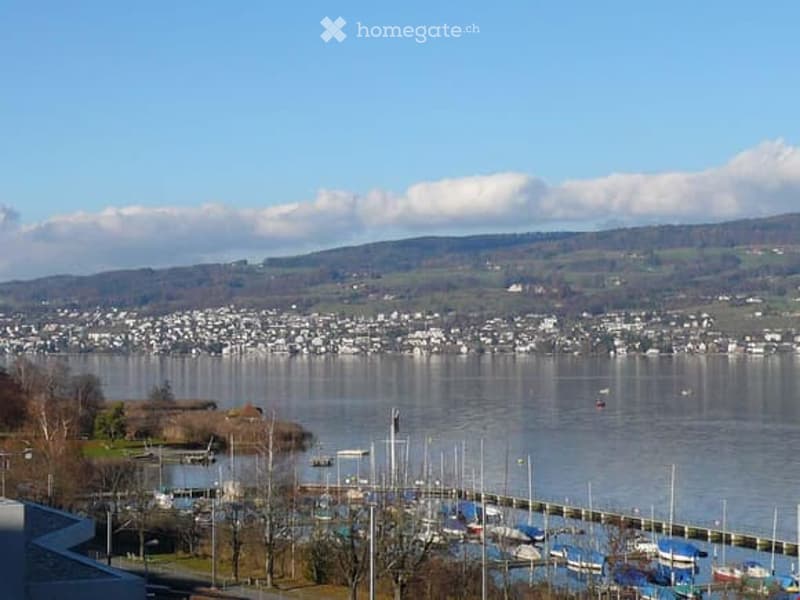Panoramic view of a lake with a town across the water, surrounded by hills and scattered buildings. Several boats are docked along the shore.