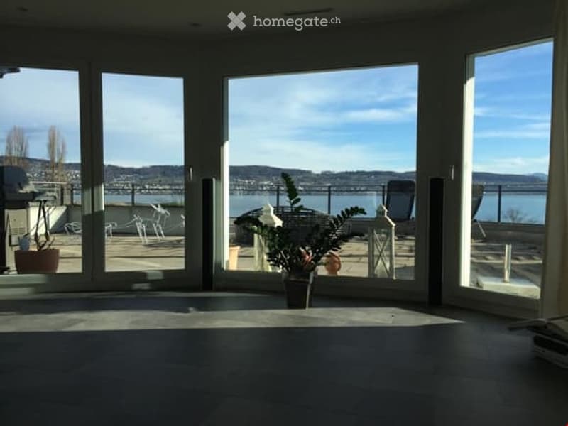 Bright, unfurnished room with large windows offering a scenic view of a body of water and distant hills. The floor is dark, and there are a few potted plants near the windows.