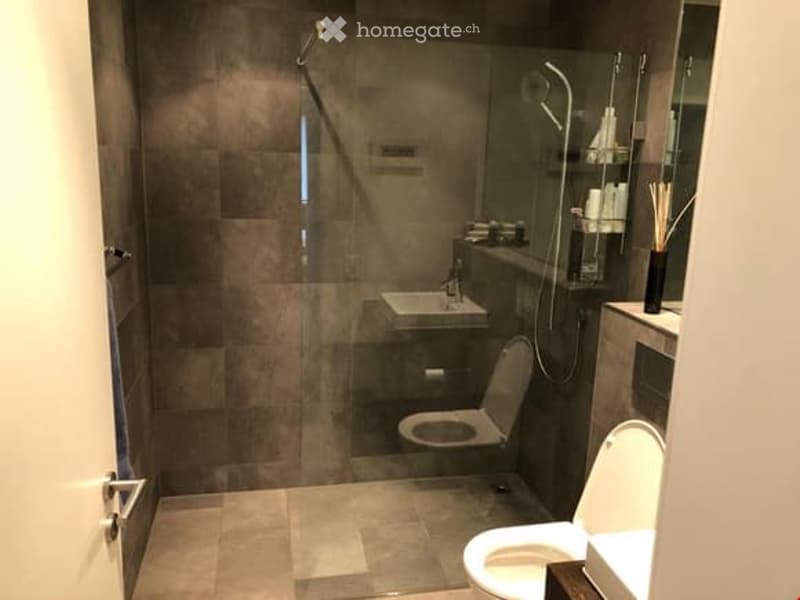 Modern bathroom with a glass-enclosed shower, toilet, sink, and shelves holding toiletries.
