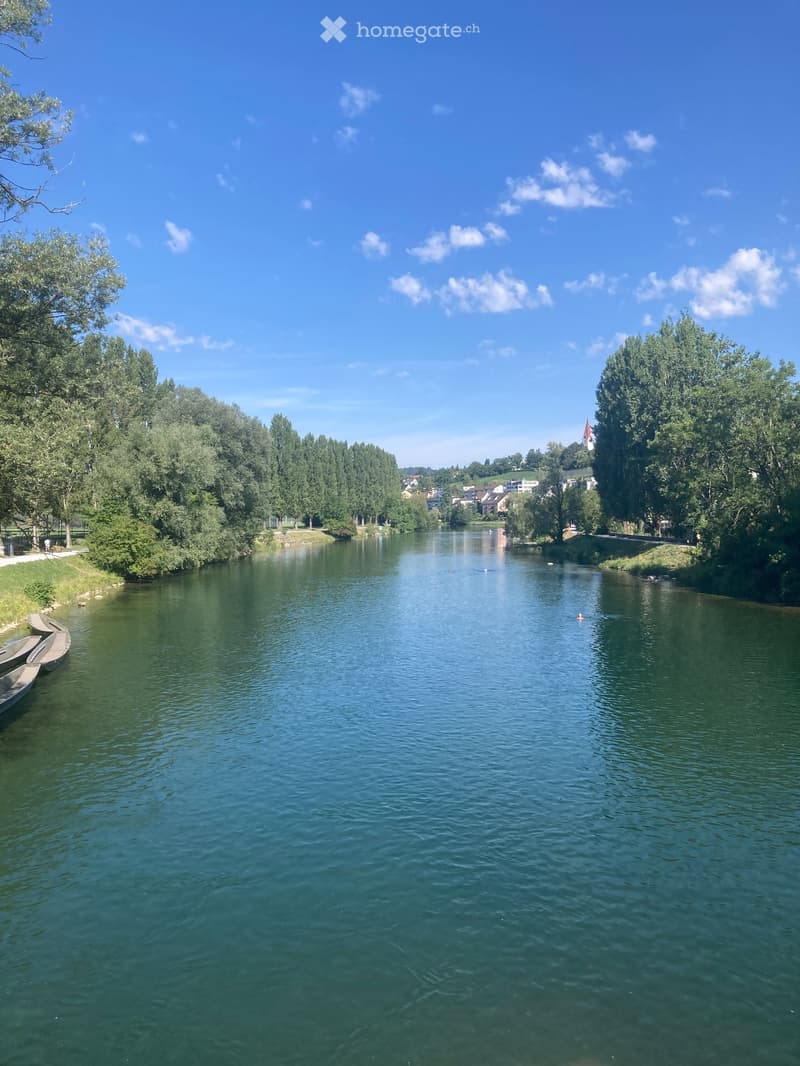A serene river scene with calm, green water, surrounded by lush trees and a small town in the background. Several small boats are docked on the left bank, and a person is visible swimming in the river.