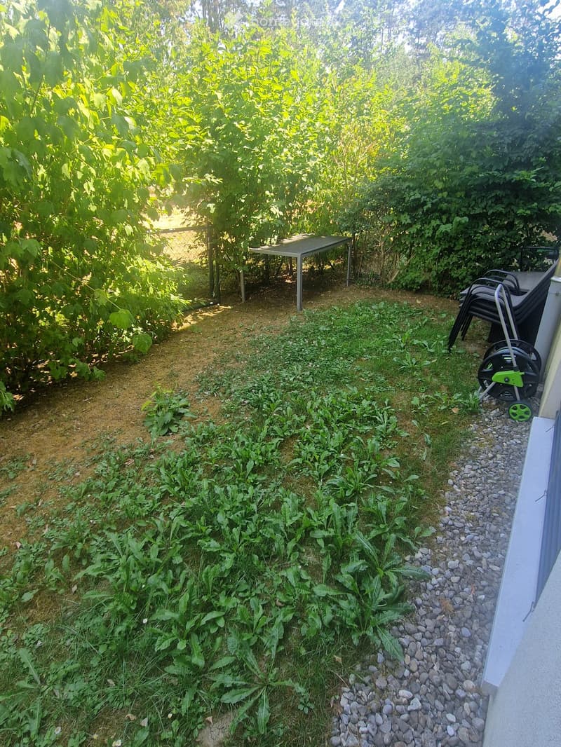 Garden area with a small table and chairs, surrounded by lush greenery and a gravel pathway.
