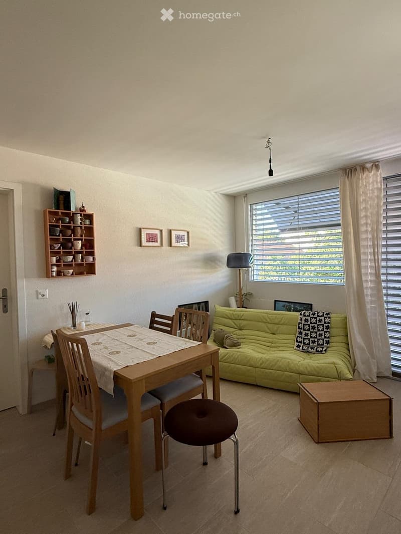 A well-lit living and dining area with a green sofa, wooden dining table, chairs, a stool, a small wooden shelf with cups and bowls, and a lamp near the window.