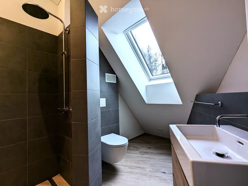 Modern bathroom with a skylight window, dark tiled shower area, white toilet, and a large sink with a modern faucet.