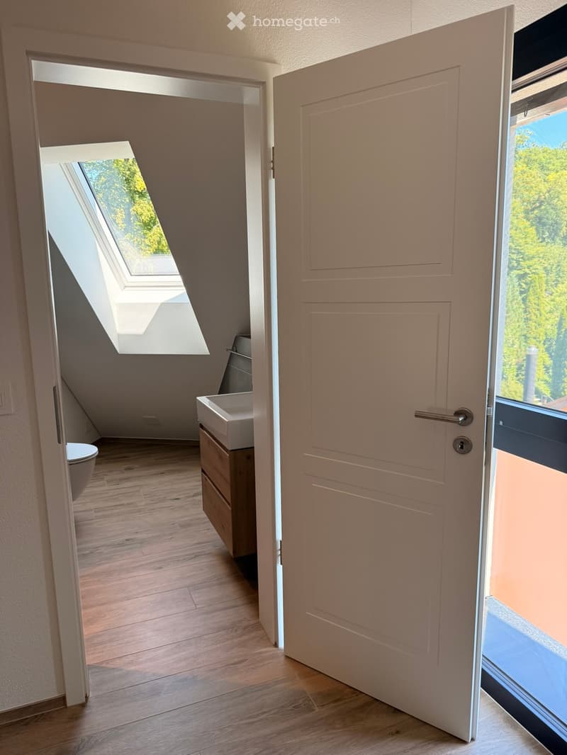 Modern bathroom with wooden flooring, a sink, and a toilet. The door is open, revealing a skylight above the toilet.