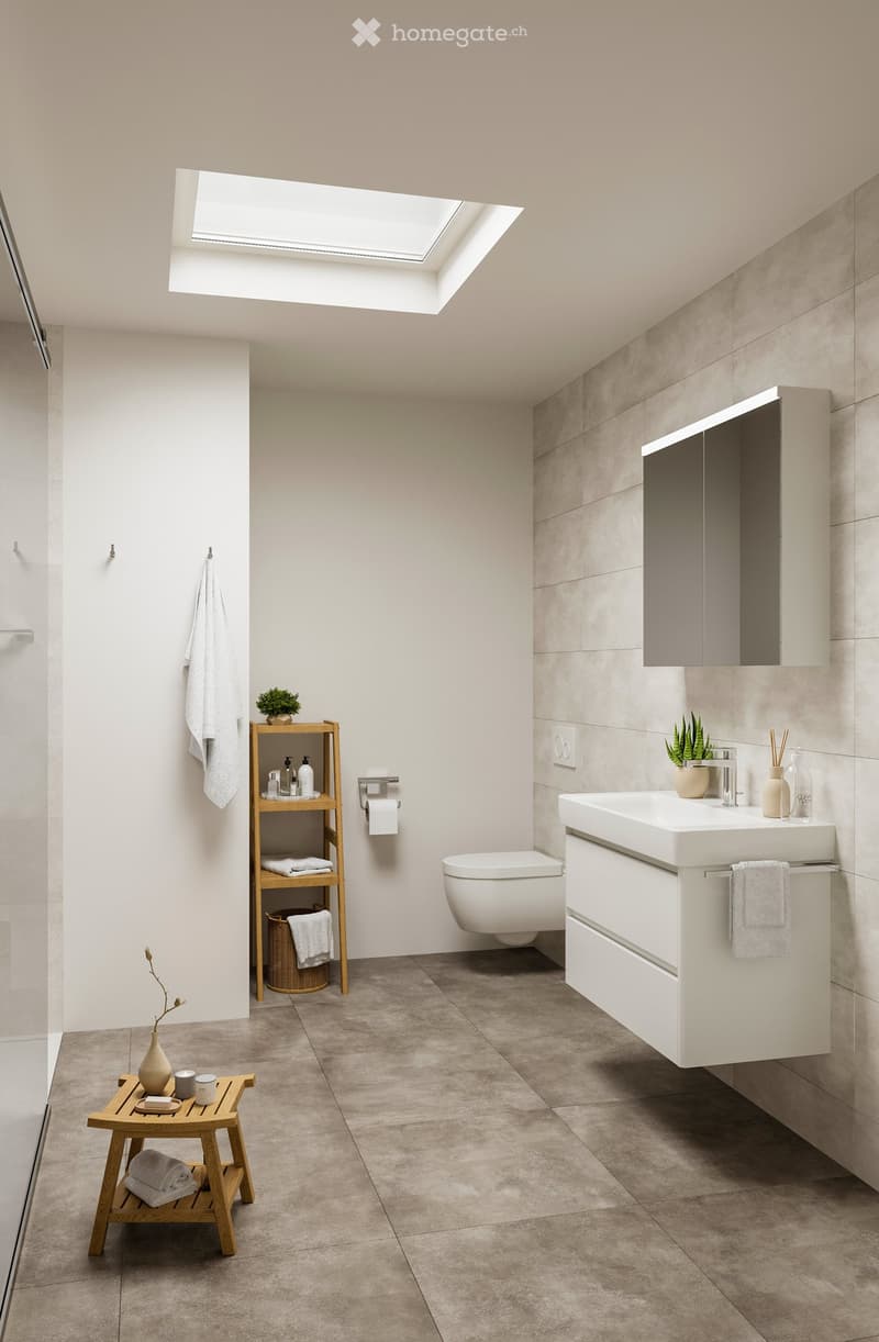 Modern bathroom with a white sink, toilet, and built-in cabinet. Features a skylight window, wooden shelves with towels and toiletries, and decorative plants.