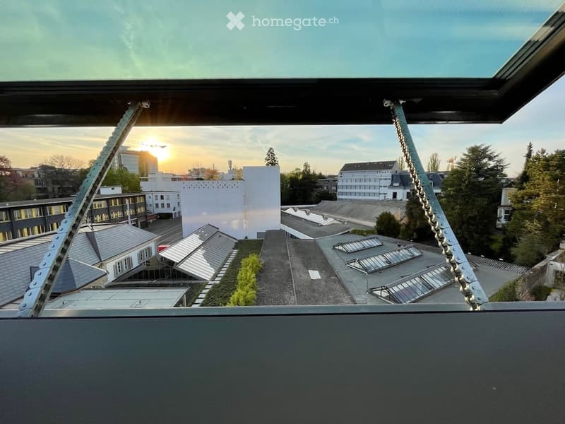 View from a rooftop terrace showing a cityscape with buildings, trees, and a sunset sky.