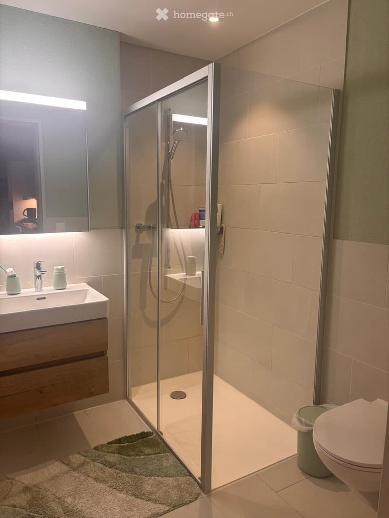 Modern bathroom with a glass-enclosed shower, a sink with a wooden cabinet, a toilet, and a small trash bin. The shower has a handheld showerhead and a built-in seat. The sink has a modern faucet and a mirror with built-in lighting. A small green rug is p