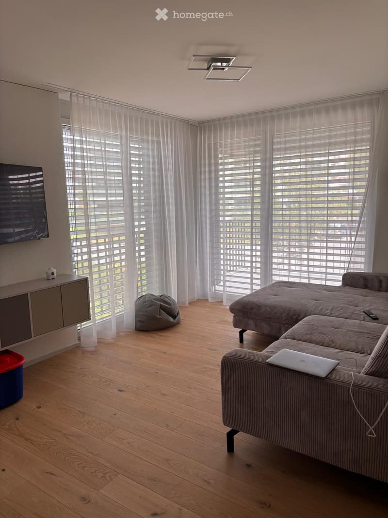 Modern living room with wooden flooring, large windows with blinds and curtains, grey sofa with laptop and remote control, bean bag, and a small cabinet with TV on top.