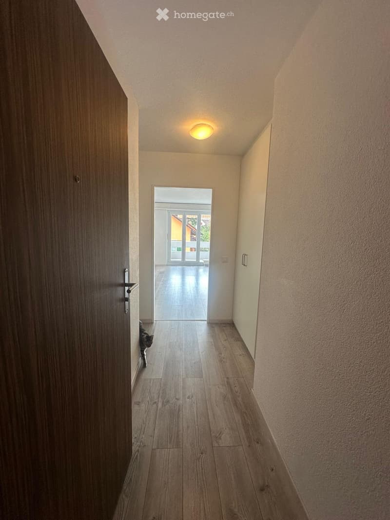 A narrow hallway with wooden flooring, white walls, and a recessed ceiling light. A cat is visible near a closed door on the left, and an open doorway at the end leads to a bright area with large windows.