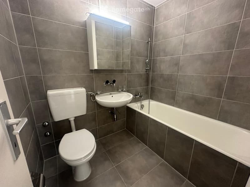 Modern bathroom with grey tiled walls and floor, featuring a toilet, sink, bathtub, and a mirrored cabinet above the sink.
