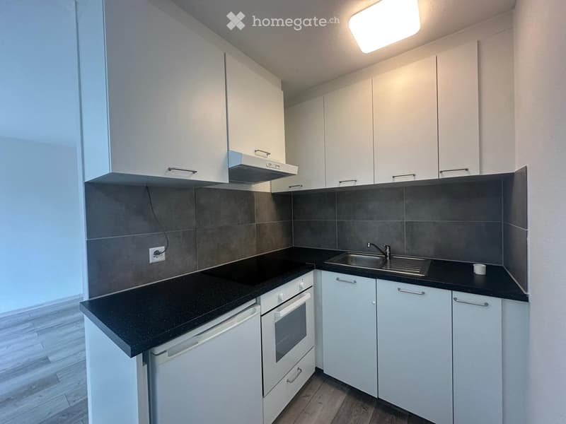 Modern kitchen with white cabinets, black countertops, stainless steel sink, and built-in oven.