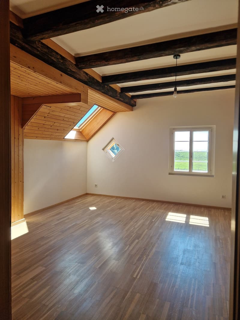 Empty room with wooden floor, wooden beams on ceiling, skylight, wall outlet, large window with valley view
