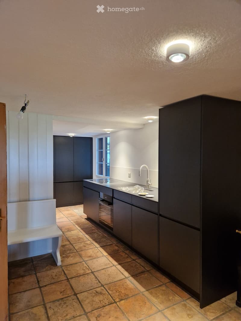 Modern kitchen with dark cabinets, a sink, a faucet, and a small white stool near the door.
